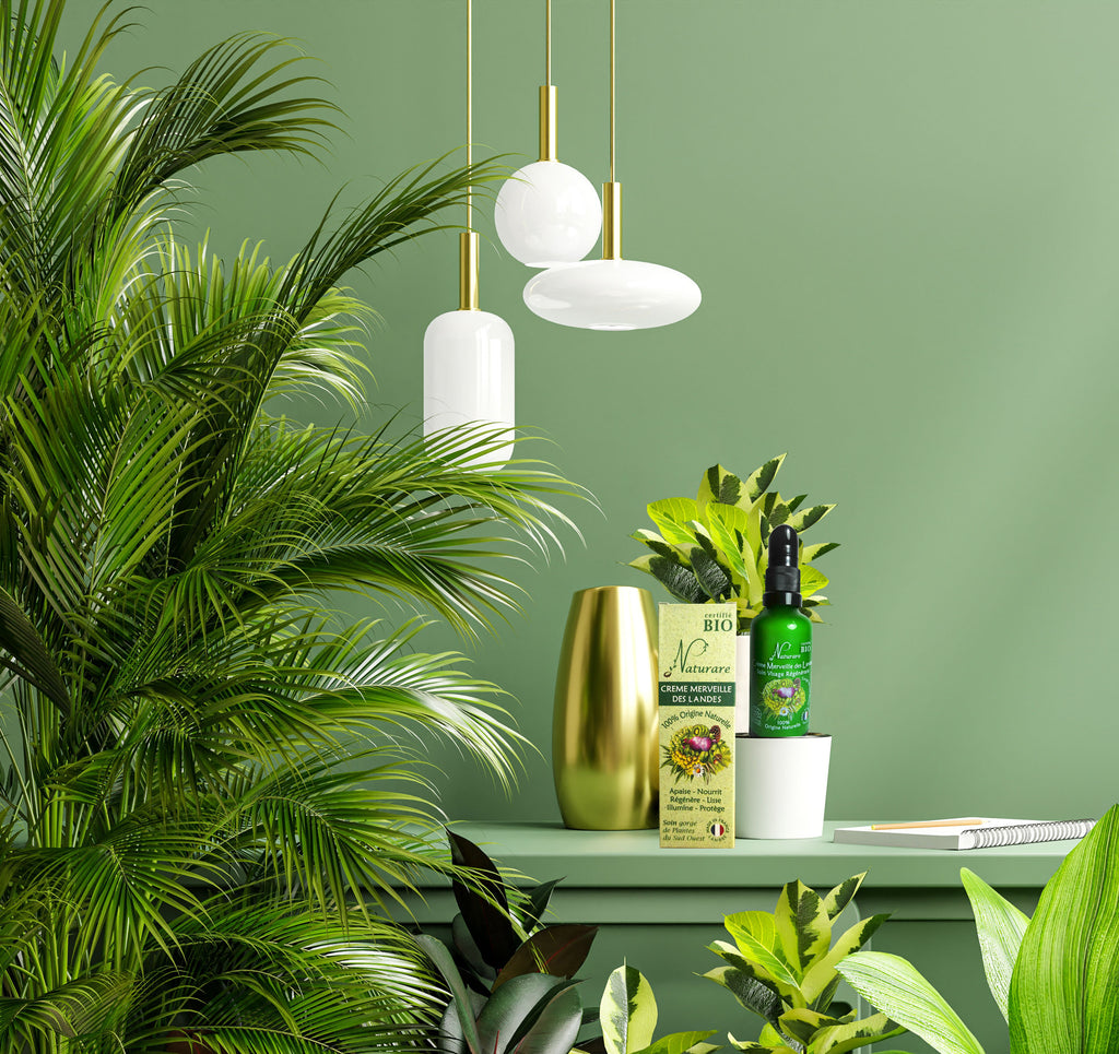 DROP - MERVEILLE DES LANDES ORGANIC - Sensitive Skin Care Complete Regeneration