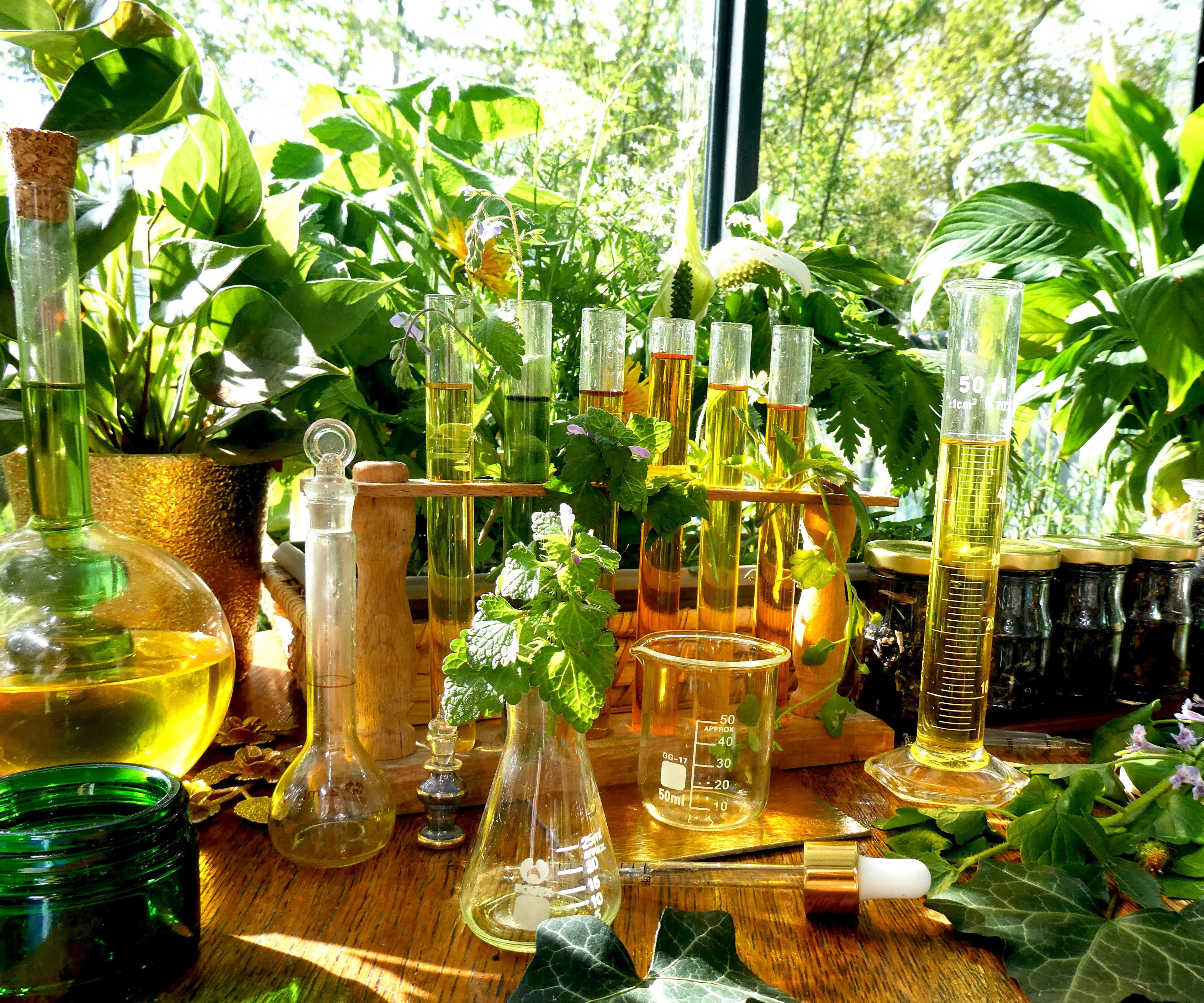 DROP - MERVEILLE DES LANDES BIO - Soin de peau Sensible Régénération Intégrale